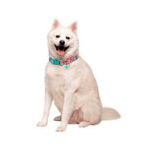Collar De Perro Talla L Squishmallows