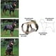 thumbnail image 4 of Arnés Para Perro Ajustable Con Correa Reflectantes Mimi M, 4 of 8