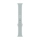 thumbnail image 1 of Correa de reloj Apple Sport Band Succulent de 41 mm para Apple Watch, 1 of 3