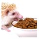 thumbnail image 2 of Spike Alimento premium para Erizos de tierra 600 grs, 2 of 3