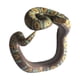 thumbnail image 5 of Novedad Pulsera De Serpiente Falsa Modelo De Animal Aterrador Mu?equera Pitón Reticulado, 5 of 5