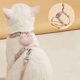 thumbnail image 5 of Arnes Transpirable Ajustable y Correa Perros Gatos Rosado, 5 of 5