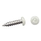thumbnail image 1 of Tornillos AP Products 012-PSQ50 de ancho, 8 x 1-1/4, cabeza plana blanca, cuadrada, 1 of 1