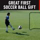 thumbnail image 3 of Balones de fútbol Franklin Sports F-100 para jóvenes, talla 3, paquete de 12 con bomba, 3 of 8