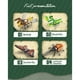 thumbnail image 1 of Set Mundo Insectos 4 Cajas En 1 C0633, 1 of 3