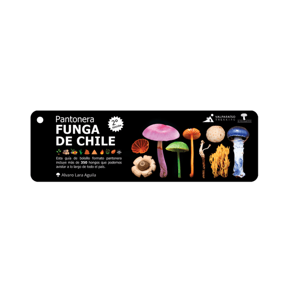 Pantonera funga de Chile