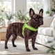 thumbnail image 4 of Arnés Petlounge Easy Glam Mascotas Perros Talla M verde, 4 of 8