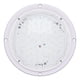 thumbnail image 5 of Luz LED Leisure LED 22 cm 1000 lúmenes 12 V blanco, 5 of 9