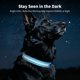 thumbnail image 5 of Collar para perros LIT&GO de 7 colores luminosos recargable por USB‑C, 5 of 8