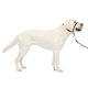 thumbnail image 1 of Collar de cabeza de perro PetSafe Gentle Leader sin tirones para perros grandes, 1 of 6