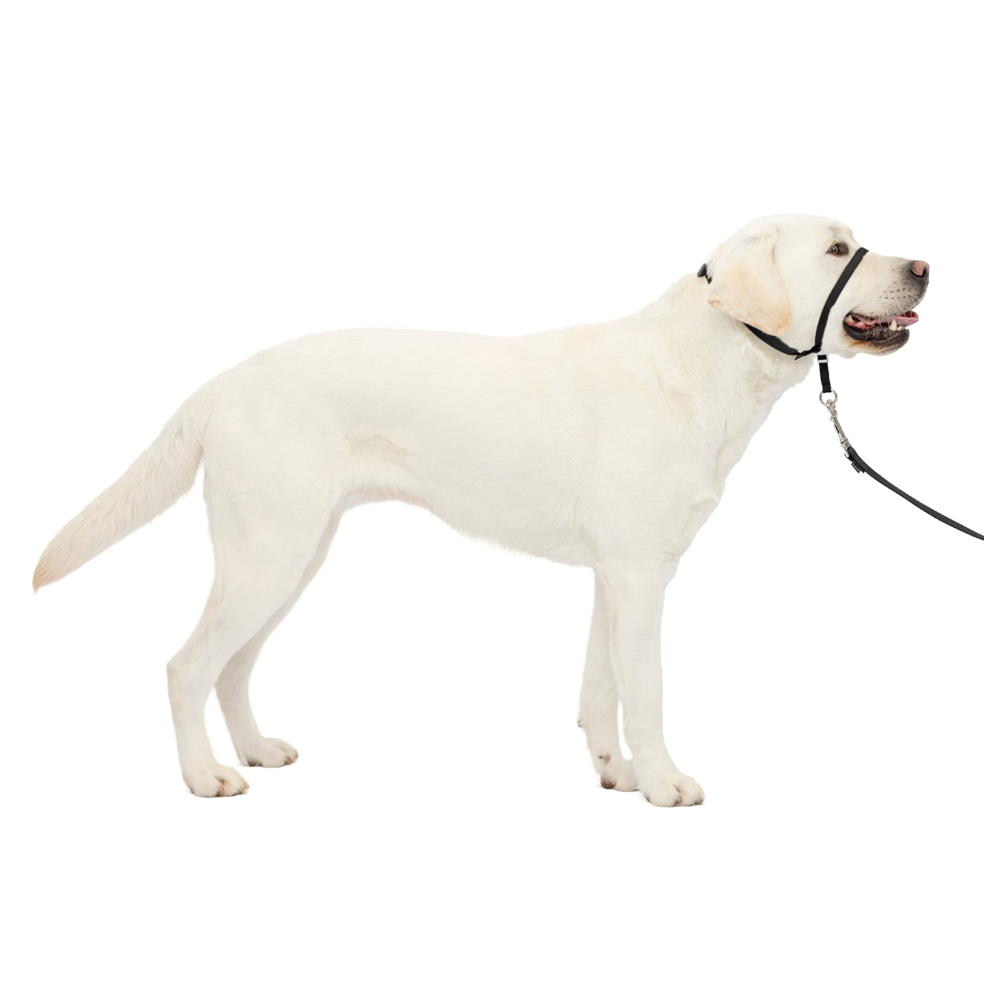 Collar De Cabeza De Perro Petsafe Gentle Leader Sin Tirones Para Perros Grandes