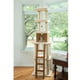 thumbnail image 5 of Cat Tower Armarkat X8303, madera auténtica, color beige, 84 cm de altura, para gatos, 5 of 9