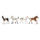thumbnail image 1 of Set de coleccionista Toy Horse Foal Schleich Horse Club, 4 piezas, 1 of 5