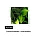 thumbnail image 4 of Televisor 32 HD Smart TV / T4300, 4 of 8