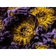 thumbnail image 3 of Té de flor de loto Lotus Flower Ankhclave Sesen bolsa de 30 g, 3 of 4