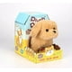 thumbnail image 1 of Juguete Mascota Plush Pet-cachorrito, 1 of 2