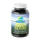 thumbnail image 1 of Suplemento de algas verdiazules de American Health Klamath Shores, 1 of 3
