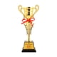 thumbnail image 1 of Trofeo Copa Ganador Competiciones Premio Copa Para Competiciones Torneos Deportivos Estilo C, 1 of 5