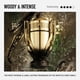 thumbnail image 3 of Perfume Rabanne Invictus Elixir Parfum 50 ml para Hombre, 3 of 7