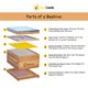 thumbnail image 2 of Kit de Inicio para Colmena BeeCastle de 10 Marcos con Cera, 2 of 6