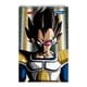 thumbnail image 1 of Croquera Lim.Pad. 21X32 Dragon Ball Torre, 1 of 2