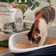 thumbnail image 4 of Arena para gatos KOCHO Hinoki, madera reciclada, ultraligera, 1,54 kg, 4 of 6