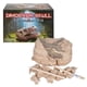 thumbnail image 4 of Kit De Excavación De Dinosaurios Con Calavera De Triceratops 14 Cm, 4 of 6