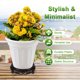 thumbnail image 2 of Uxcell Soporte para Plantas de 2 Paquetes para Macetas Interiores, Elevador de Plantas de 11.3 cm/4.45 Pulgadas para Jarrón/Pecera/Maceta/Lámpara [Marrón Oscuro], 2 of 7