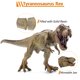 thumbnail image 3 of Set de dinosaurios JR PARK Large Tyrannosaurus Rex y T-Rex, 2 unidades, 3 of 9