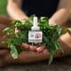 thumbnail image 4 of Ambientador Plug in Scent Fill Peppermint con 4 recambios, 4 of 4