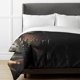 thumbnail image 2 of How to Train Your Dragon Bedding Sets Cartoon Duvet Cover Lightweight 3 Piece Bet Sets for Kids Boys Girls, 2 of 5