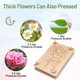 thumbnail image 3 of Kit de Prensa para Flores Suziko 27,5x17,8 cm de Madera Maciza con Diseño de Rosa, 3 of 9