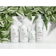 thumbnail image 2 of Champú Paul Mitchell Tea Tree Antidiluyente 1000 ml Paul Mitchell, 2 of 3