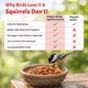 thumbnail image 4 of Salsa Bird Sauce Happy Wings 473 ml Ahuyentador de Ardillas, 4 of 7