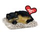 thumbnail image 1 of Peluche interactivo de peluche Perfect Petzzz Minis Baby German Shepherd, 1 of 5