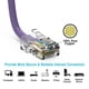 thumbnail image 4 of Cable Ethernet Cat6 FireFold de 6 m, 550 MHz, UTP, morado, 4 of 4