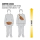 thumbnail image 4 of Hip Pack Carhartt, cintura ajustable, resistente al agua, color marrón, 4 of 4