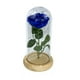 thumbnail image 1 of Flor Rosa Eterna Cristal Luz Hada San Valentín Madre Boda Azul, 1 of 2