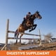 thumbnail image 4 of Suplemento Plus Para Soporte Gástrico En Caballos 2 7 Kg, 4 of 6
