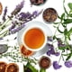 thumbnail image 3 of Té Solo Therapy de Ajenjo - 30 bolsas resellables, 3 of 3