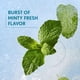thumbnail image 5 of Brillo de labios Covergirl Clean Fresh Yummy 920 S-Mitten Vegan 10 ml, 5 of 8
