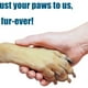 thumbnail image 5 of 2 limas de uñas para perros, tabla rascadora para perros, lima de uñas antiestrés, kit de lima de uñas para perros, 5 of 6