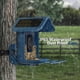 thumbnail image 5 of Comedero para pájaros con cámara, cámara inteligente con energía solar 2K, 5 of 8