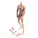 thumbnail image 5 of Escala 1: 6 Cuerpo Desnudo Masculino Posible 28 Articulaciones Movibles 12 "Figura De Acción Trigo, 5 of 5