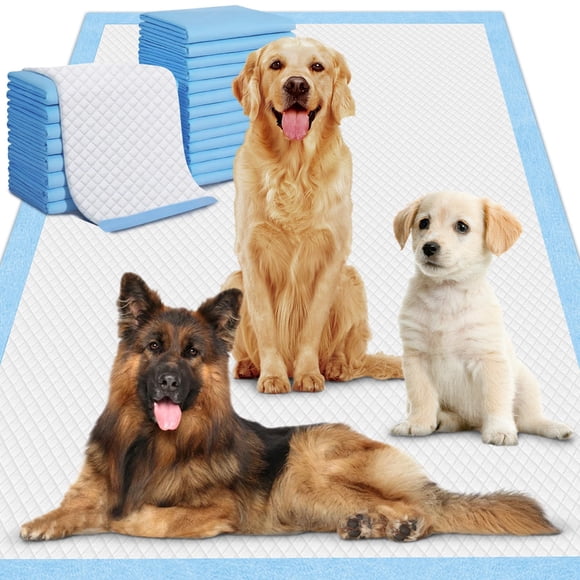Almohadillas para orinar para perros Gimars XXXL, 80 x 120 cm, 40 unidades, ultra absorbentes