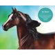 thumbnail image 3 of Toy Breyer Bay Morgan B-FS-10610, marrón, escala 1:12, 3 of 5