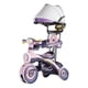 thumbnail image 1 of Triciclo Infantil Musical Con Toldo Ajustable Y Luces, 1 of 3