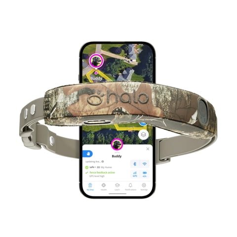 Valla Inalámbrica Para Perros Y Collar Gps Para Perros Halo Collar 5 Realtree