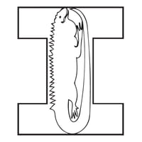 Rienda Libre Graphics - Decomural I Iguana Alphabet Childrens Nursery Ws-34459