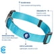 thumbnail image 2 of Collar para perro Blueberry Pet Essentials X-Small de nailon turquesa, 2 of 8